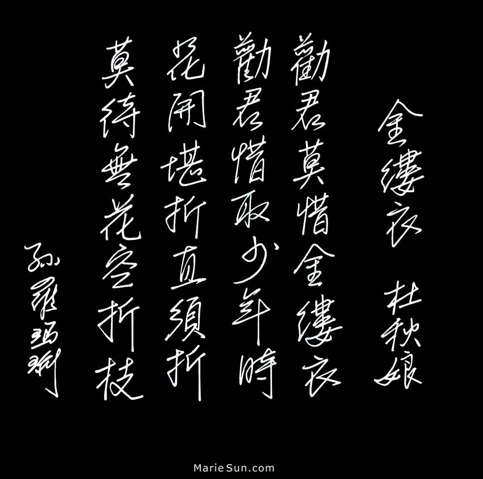 Tang Poems, calligraphy, zhuanshu calligraphy, shudo, shufa, Tang poem calligraphy, 书法, Kanji 書道, Hanja 書藝, Chữ Hán 書法, Tang Poems, 당나라시, Bài thơ Đường,
     唐诗与中国篆字书法之美